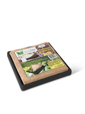 Jute Microgreen Starter Set