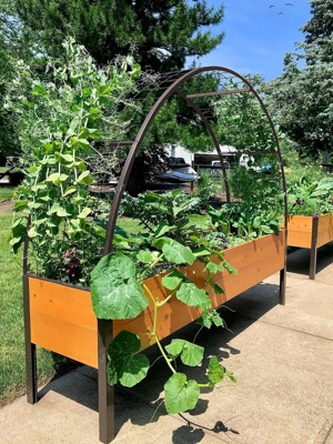 2’ x 8’ Arch Trellis for Planter Boxes