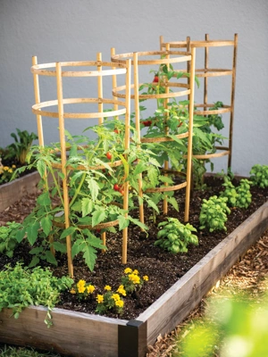 Bamboo Tomato Cages, Set of 3