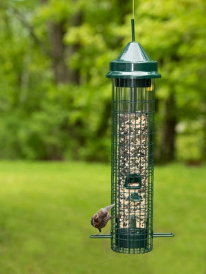 Brome® Squirrel Buster™Classic Bird Feeder