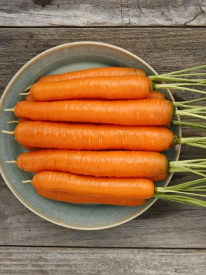 Napoli Carrot Organic Seeds