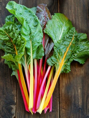 Rainbow Blend Chard Organic Seeds