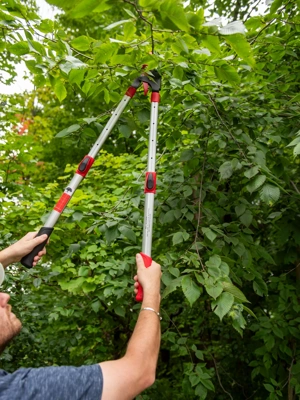 Telescoping Bypass Loppers