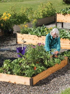 Cedar Raised Beds, 3’ Wide (7.25” D)