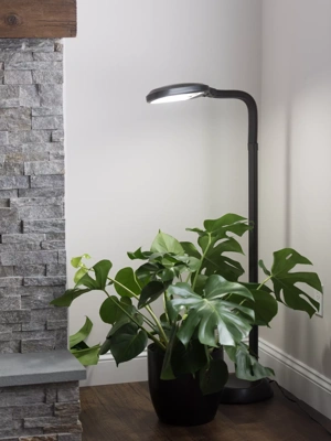 Agrobrite Floor Plant Lamp