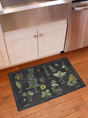 FlorArt Botanical Chart Mat, 2'x3'