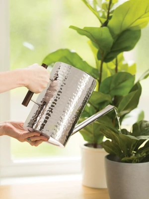 Stainless Steel Watering Can