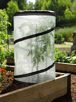 ANC POP 3 Pack Pop Up Mesh Plant Cover, Plant Protector for Raised Garden &  Flower Bed, Net Cage Plant Guard for Fruits, Vegetables, Seedlings and