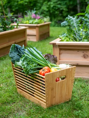 Wooden Garden Trug - Large Gathering Basket