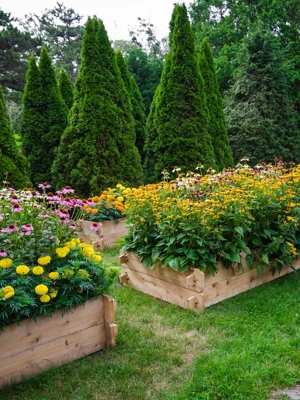 Farmstead Cedar Raised Garden Beds, 3'