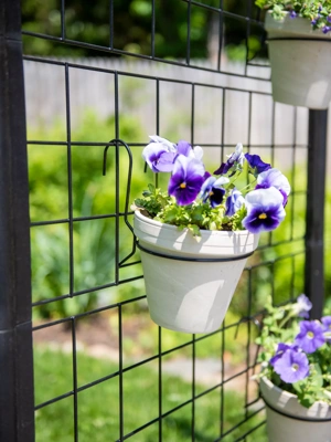 Randolph Hanging Pot Holders for 6" Pots, Set of 3