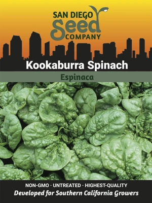 Spinach, Kookaburra Seeds