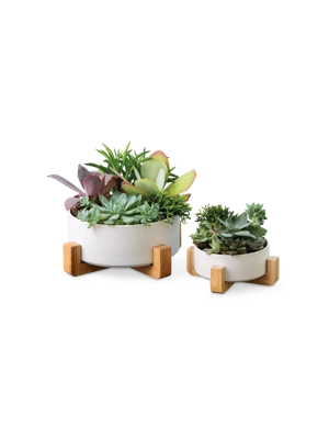 Ceramic Pot with Bamboo Stand, Set of 2