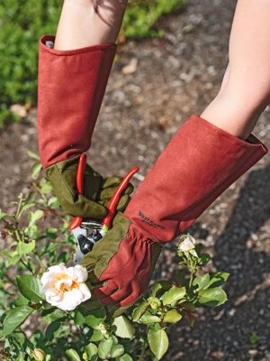 Rose Gloves