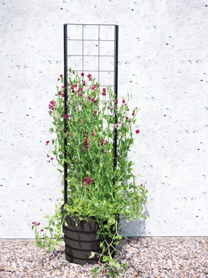 Gardener’s Victory Self-Watering Planter with Vine Trellis