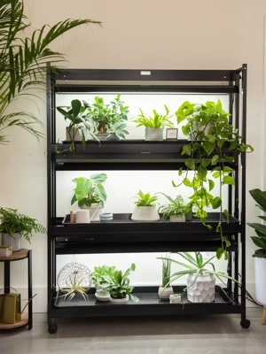 Indoor plant shop light stand