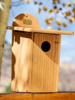 Spruce Creek Bluebird House