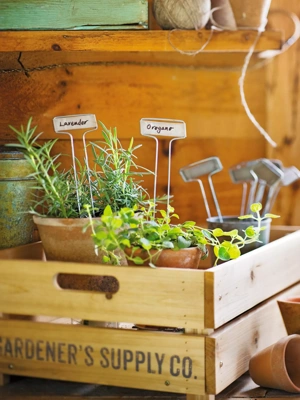 Personalised Floral Garden Seed Box Gifts for Gardeners -  Ireland