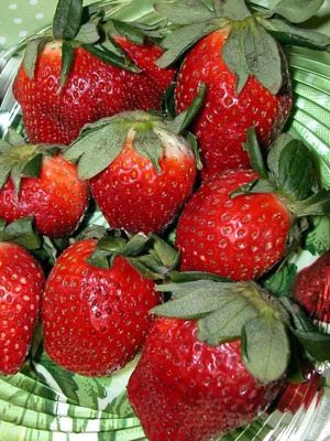 Strawberry, Allstar