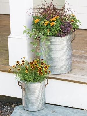 Galvanized Rim Planters