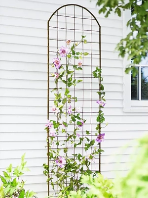 Upland 97 in. Vinyl Garden Trellis Decorative Support for Climbing Plants and Vines, Lattice Panel for Garden, Backyard, Lawn, Whites