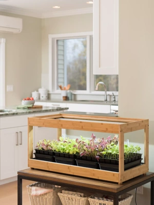 Kitchen Sink Shelf Planter Indoor Planter Over the Sink Space Saver Herb  Garden Housewarming Gift Christmas Gift Indoor Garden 