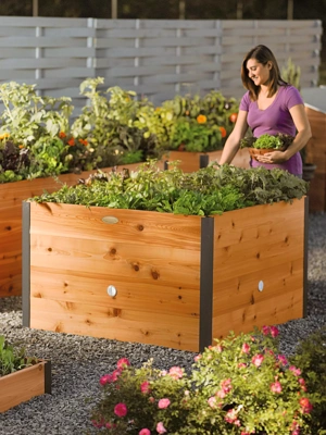 Elevated Cedar Raised Bed, 4' x 4'