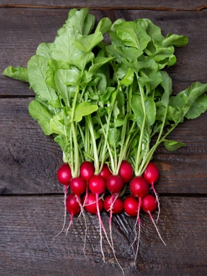 Cherry Belle Radish Organic Seeds