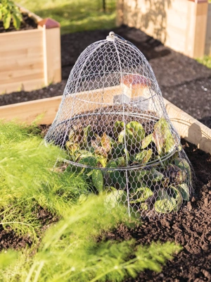 Garden Netting | Supply