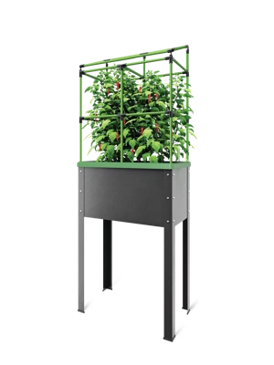 City Jungle® Heidelberg Tomato Trellis