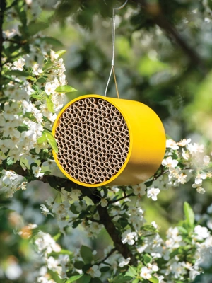 Colorful Bamboo Bee House