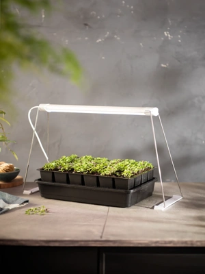 Adjustable Wire Tabletop Grow Light