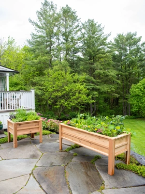 Craftsbury Elevated Raised Beds