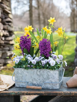 Metal Caddy Planter
