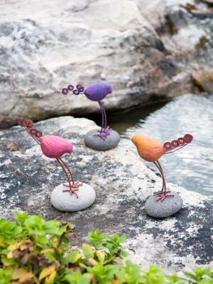 Birds on Stones Set