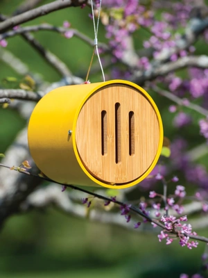 Colorful Bamboo Butterfly House