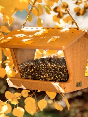 Spruce Creek Hopper Bird Feeder