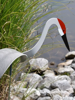 Florida Dancing Birds®, Sand Hill Crane