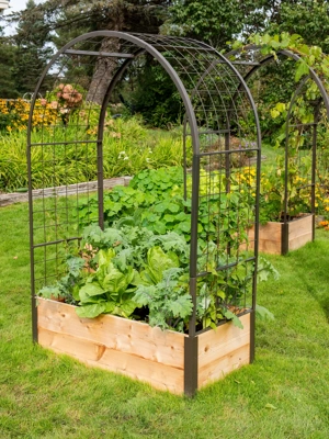 4' Arch Trellis Kit for 2' Wide Raised Beds