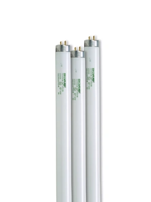 4' SunLite®  T-8 Bulbs, Set of 3