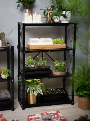 Folding 3-Tier Grow Shelf with Plant Lights