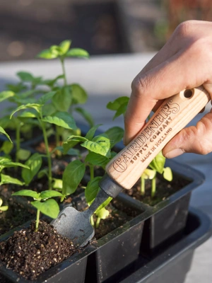 Gardener's Lifetime Mini Trowel