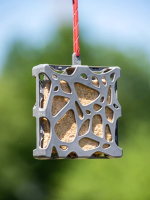 Suet Cake Feeder