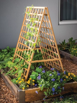 Bamboo A Frame Plant Support, 30" x 42.5"