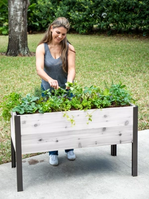 Self-Watering Eco-Stained Elevated Planter Box, 2' x 4' (10" D)