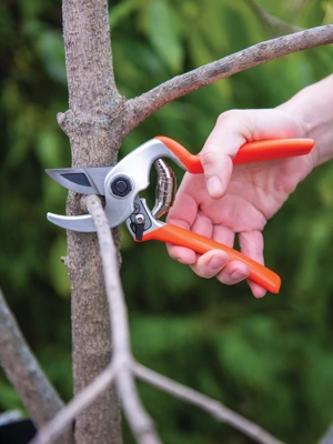 Castellari Mini Anvil Pruner