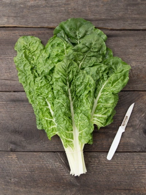 Fordhook Giant Chard Organic Seeds