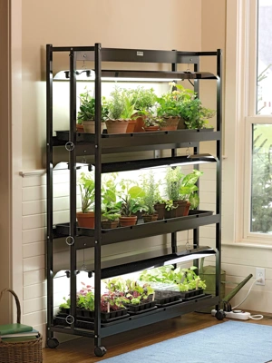 3-Tier Sunlite® Garden