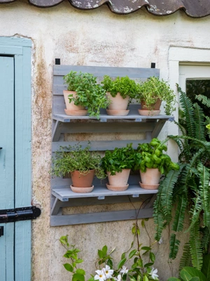 VegTrug® Herb Rack