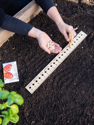 Intervale Seed and Plant Spacing Ruler